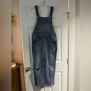 Mustard Seed Blue Denim Overalls (Maternity)